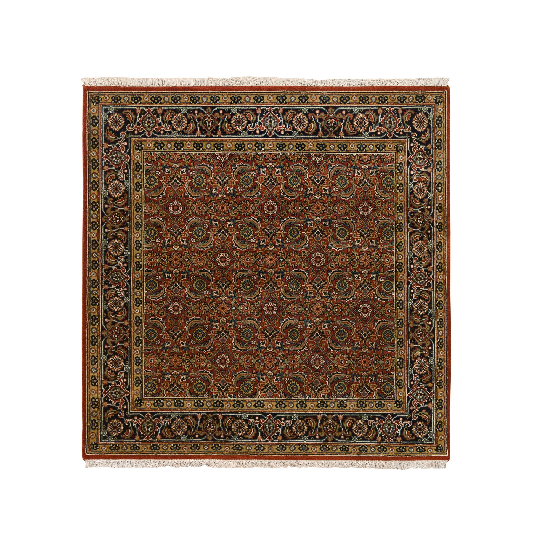 Traditional Rugs LUV569853